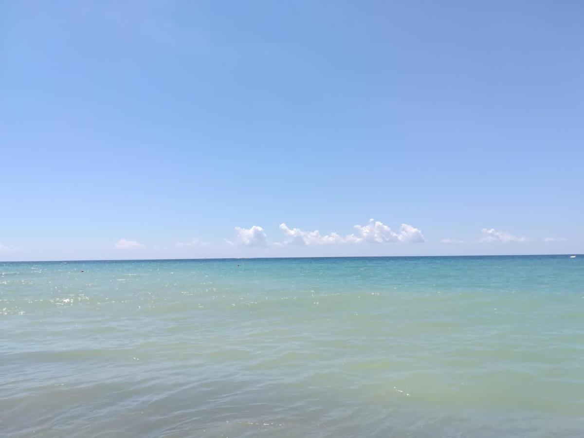 La Ceiba Speciosa Bed & Breakfast Capaccio Екстериор снимка