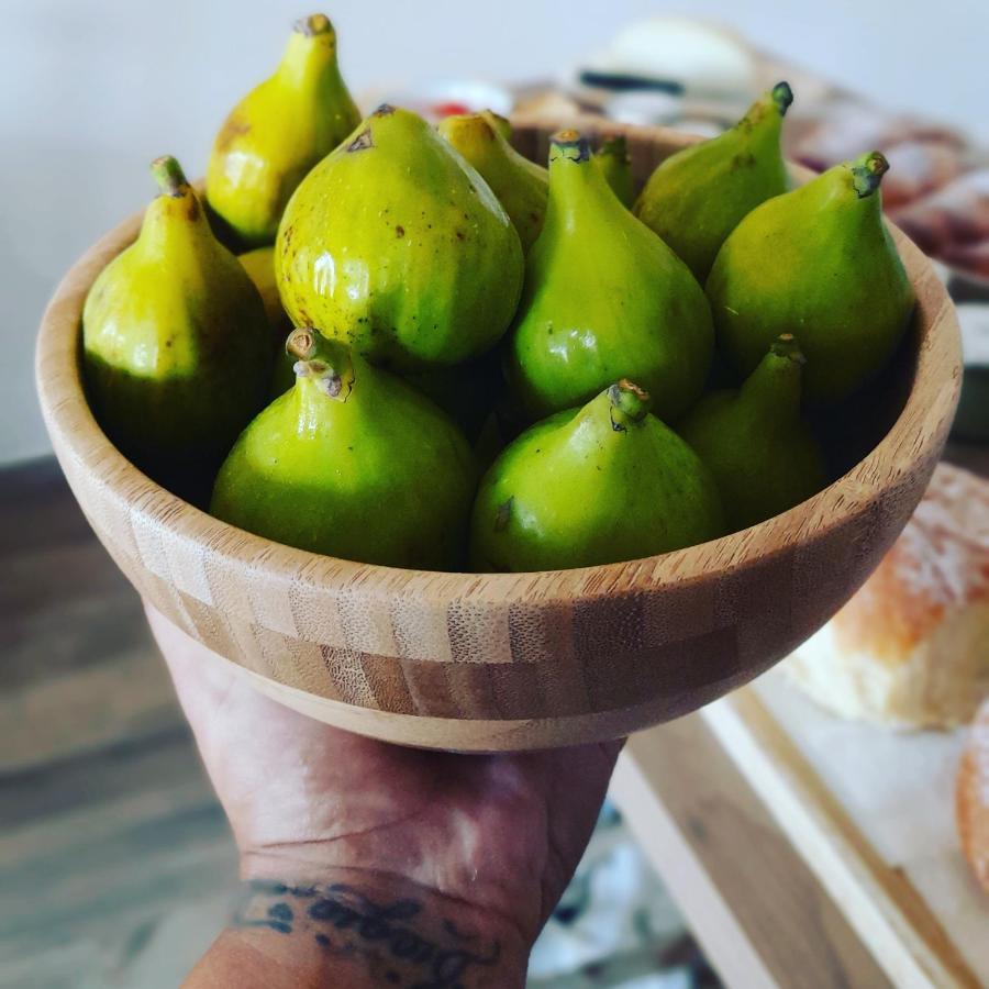 La Ceiba Speciosa Bed & Breakfast Capaccio Екстериор снимка